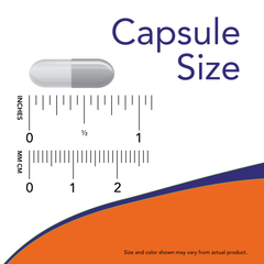 Probiotic-10™ 25 Billion Veg Capsules